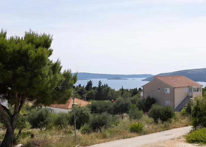 Fig By Bright Bliss * Seget Vranjica